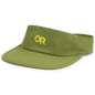 Visor