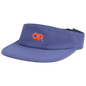 Visor